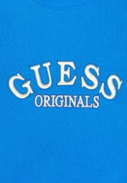 Go Alexa Vintage Hoodie - Hoodie - Bright Zaffre Multi -Guess Apparel 6f9e0763787948e88f9c0977f08dfa60